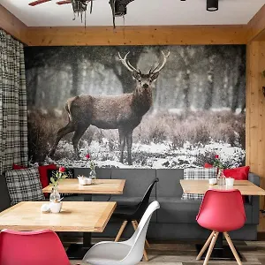 https://willa-klimkowka.zakopanehotels.org